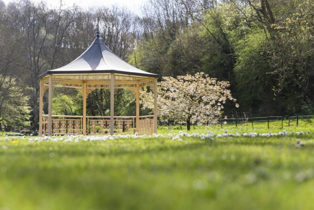 Beautifully decorated yard for a special occasion in a garden