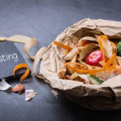What is the purpose of composting? Why is composting important for the environment? What will happen if we don't compost?