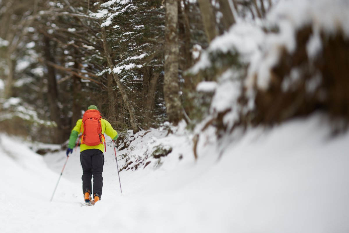 ski experience in Japan